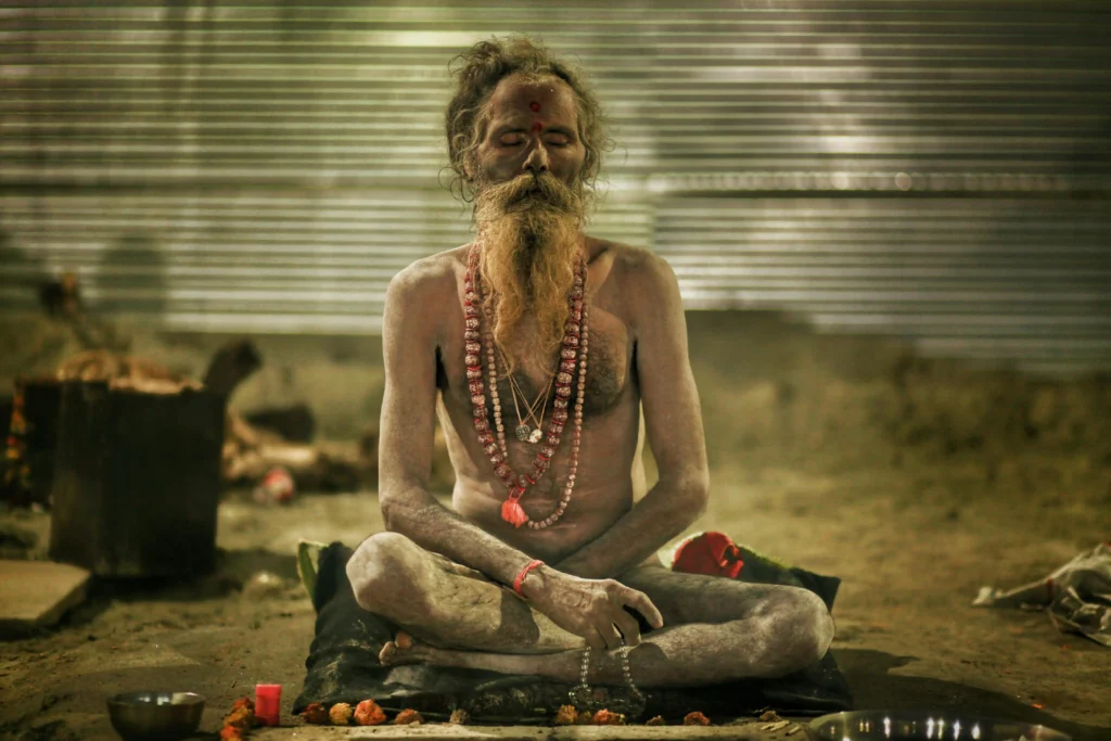 naga sadhus at prayag kumbh mela